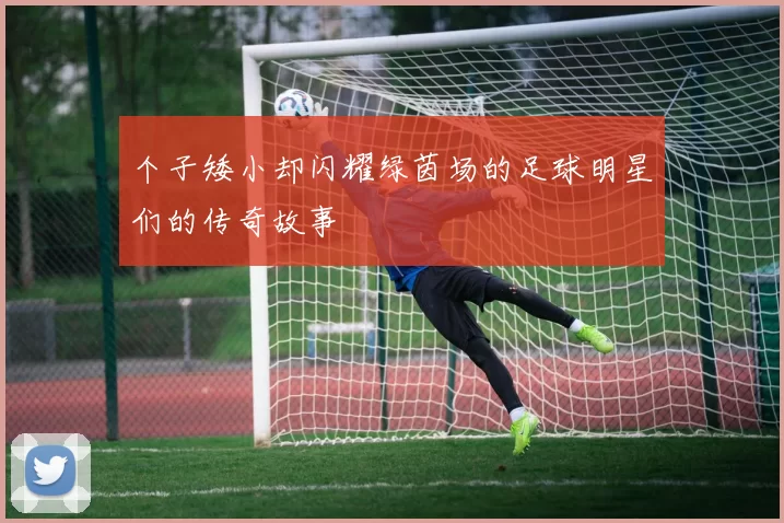 个子矮小却闪耀绿茵场的足球明星们的传奇故事