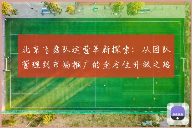 北京飞盘队运营革新探索：从团队管理到市场推广的全方位升级之路