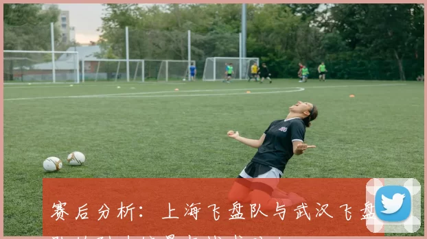赛后分析：上海飞盘队与武汉飞盘队的耐力较量与战术对决
