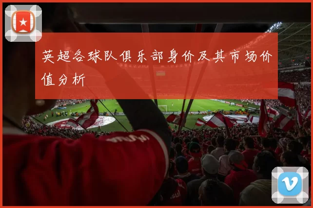 英超各球队俱乐部身价及其市场价值分析