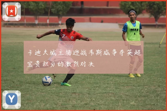 卡迪夫城主场迎战韦斯咸争夺英超宝贵积分的激烈对决