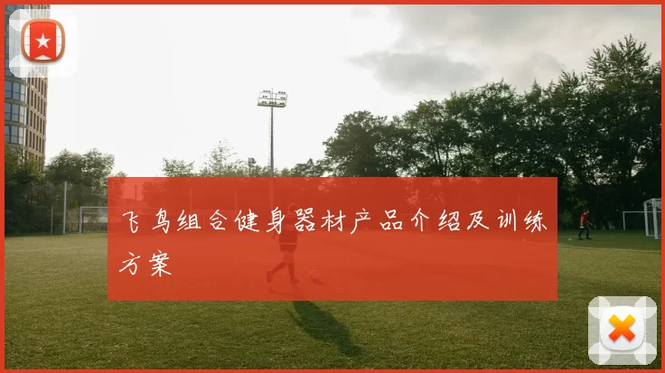 飞鸟组合健身器材产品介绍及训练方案