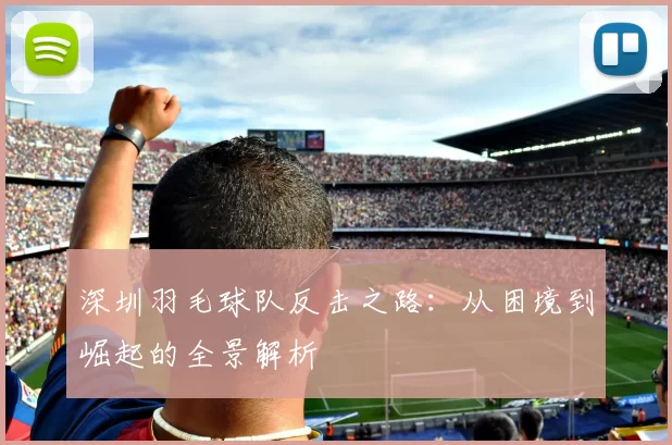 深圳羽毛球队反击之路：从困境到崛起的全景解析