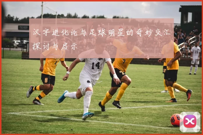 汉字进化论与足球明星的奇妙交汇探讨与启示