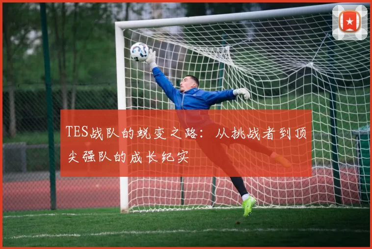 TES战队的蜕变之路：从挑战者到顶尖强队的成长纪实