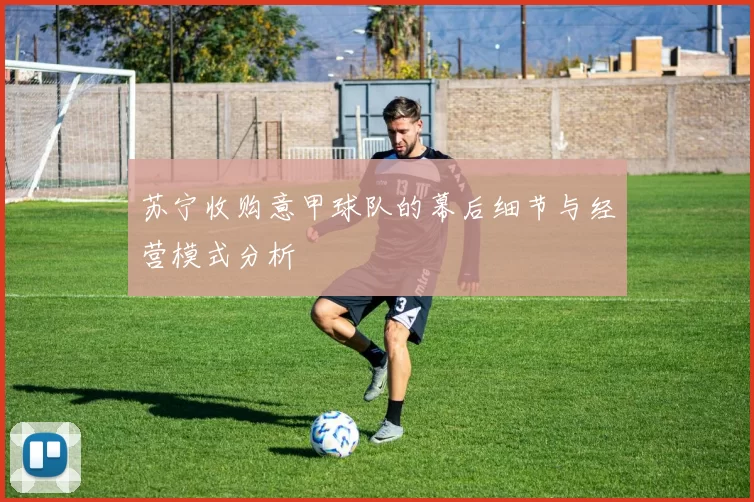 苏宁收购意甲球队的幕后细节与经营模式分析