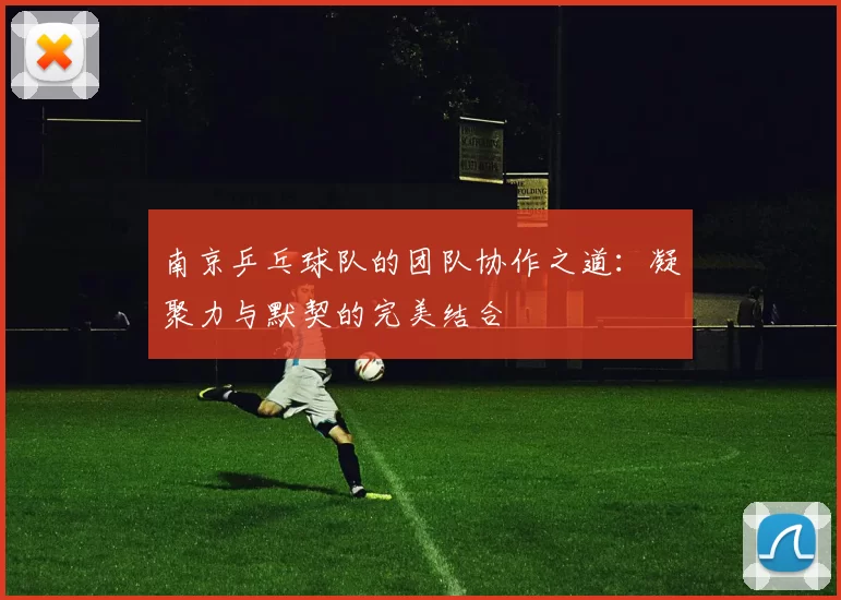 南京乒乓球队的团队协作之道：凝聚力与默契的完美结合